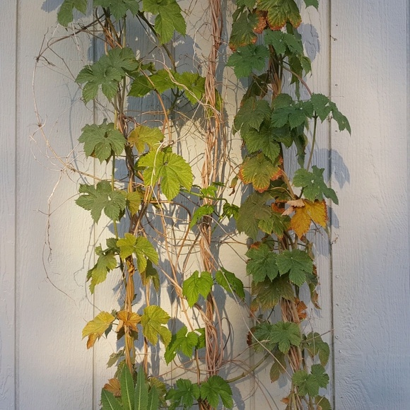 Meet your Posher, Ashley - Picture 1 of 1